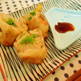 食べやすくて旨味たっぷり♪餃子シューマイ